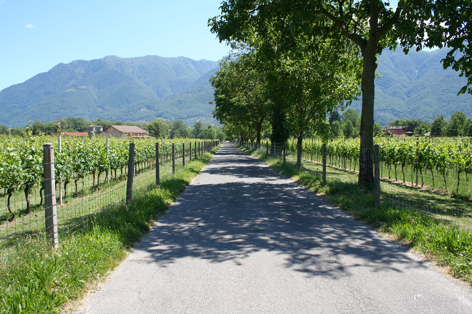 Terreni alla Maggia, Ascona